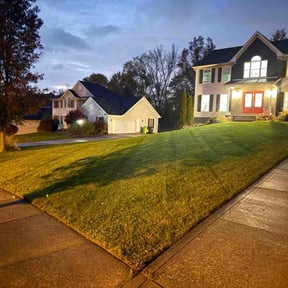 Leaf Removal by S &amp; G Landscaping, Inc. reviewed on November 10, 2025