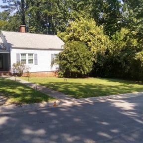 Bush Trimming by BBMP reviewed on November 22, 2025