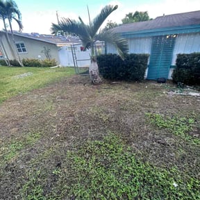 Bush Trimming by Brooms lawncare reviewed on August 17, 2025