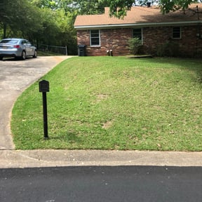 Leaf Removal by Maverick lawn service reviewed on September 8, 2025