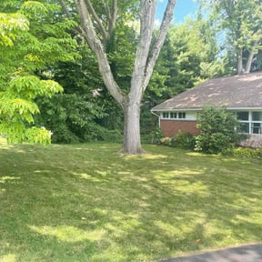 yard work by Amie's Clean Cut Lawns and More reviewed on August 16, 2025