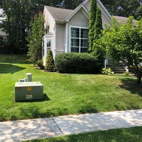 Bush Trimming by Joshua's landscaping reviewed on August 20, 2025