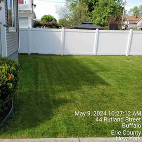 landscaping by Escobar Landscaping reviewed on August 19, 2025