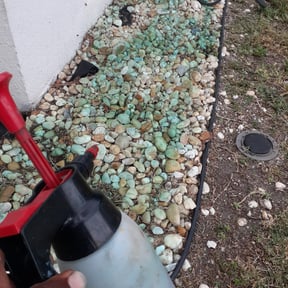 Flower Bed Weeding by CEJLANDSCAPING reviewed on November 24, 2025