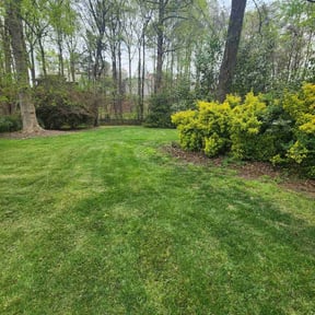 landscape maintenance by Lawnspire reviewed on August 18, 2025