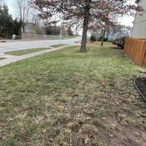 Leaf Removal by Danzey junk removal Moving &amp; More LLC reviewed on December 1, 2025