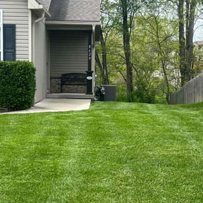 Bush Trimming by Smartyards LLC reviewed on July 16, 2025