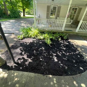 Bush Trimming by Dutka Landscaping LLC reviewed on October 21, 2025