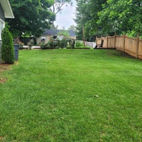 yard service by IPR LLC reviewed on August 17, 2025