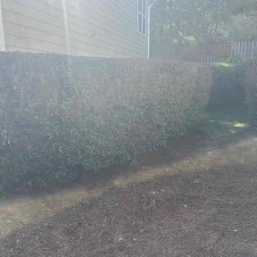 Bush Trimming by J &amp; K Lawncare Specialists LLC reviewed on October 20, 2025