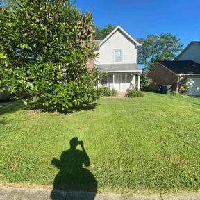 grass cutting by Mowing and landscaping reviewed on May 24, 2025