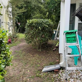 Bush Trimming by Tony's Landscape Maintenance reviewed on August 16, 2025