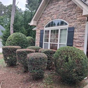 Bush Trimming by Brittian Exterior Cleaning reviewed on June 18, 2026