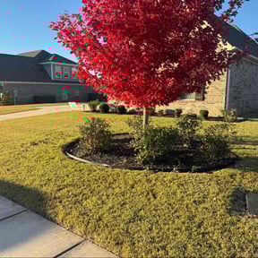 Bush Trimming by D &amp; S Lawn reviewed on November 22, 2025