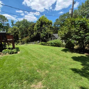 residential landscaping by ShiftChange LLC Lawn Service reviewed on August 18, 2025