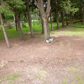 Leaf Removal by Carrs Landscaping LLC reviewed on September 19, 2025