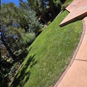 Custom service by Riverview Lawn Care reviewed on October 30, 2023