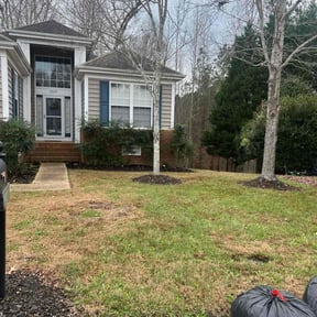 Leaf Removal by Tikitiki Garden Service reviewed on December 9, 2025