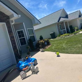 grass cutting by Zay's Lawn Service reviewed on October 1, 2024