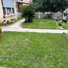 lawn care services by Hernandezsnowremoval and landscaping services reviewed on May 11, 2024