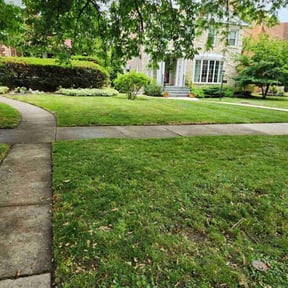 landscaping by Blue Line Property Solutions LLC reviewed on November 29, 2025