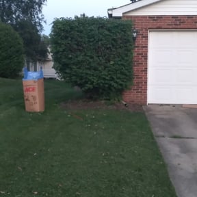 Bush Trimming by Pringle's landscaping llc. reviewed on August 13, 2025