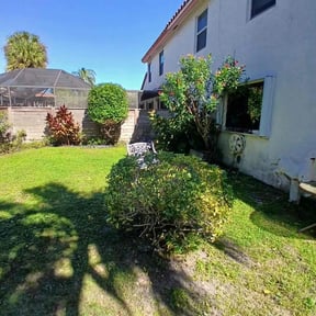 Bush Trimming by Lullabee Farms reviewed on November 21, 2025