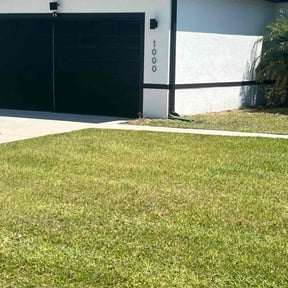 grass maintenance by Clean cut landscaping &amp; tree service LLC  reviewed on August 21, 2025