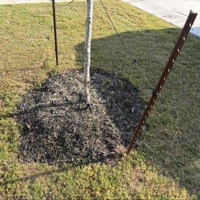 Flower Bed Weeding by Chris Slone Lawn Love reviewed on November 7, 2025