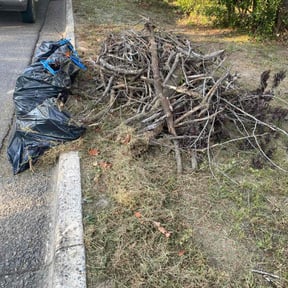 Leaf Removal by Flo-Mow Exterior Restorations reviewed on September 23, 2025