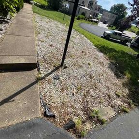 Flower Bed Weeding by Mejias Landscaping reviewed on September 13, 2026