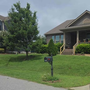 lawn care services by D &amp; A services reviewed on August 26, 2021