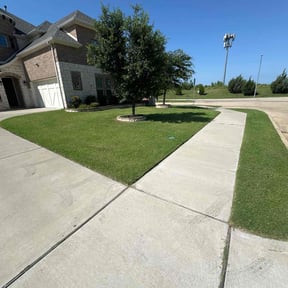 yard service by Major Services reviewed on January 11, 2024