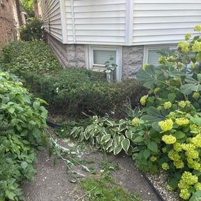 Bush Trimming by Doug's Lawn Care reviewed on December 31, 2025