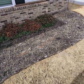 Flower Bed Weeding by The Evergreen Group reviewed on May 29, 2026