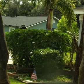 Bush Trimming by Super Fare Lawn Care reviewed on June 7, 2022