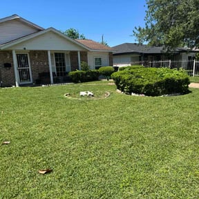 landscape maintenance by Manuel's lawn care reviewed on November 19, 2025