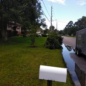 Bush Trimming by Carpenter Lawn Care reviewed on August 19, 2025
