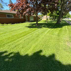 lawn care services by Johnny Ds Lawn Service reviewed on September 27, 2024