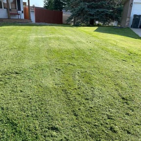 lawn care by Camp's Lawncare reviewed on September 6, 2023