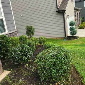 Bush Trimming by On Point Lawn Care reviewed on October 18, 2025