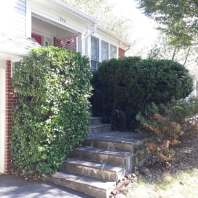 Bush Trimming by Gregory Lawn Service LLC reviewed on August 16, 2025