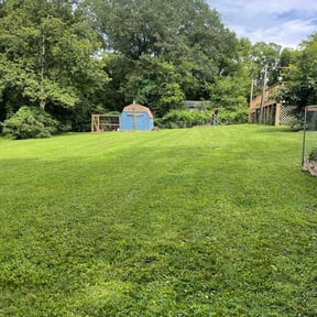 landscaping by CadeAndKids LLC reviewed on August 13, 2025