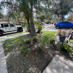 Bush Trimming by GrassPro Solutions reviewed on November 8, 2025