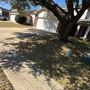 Leaf Removal by Thomas Enterprise LLC reviewed on September 25, 2025