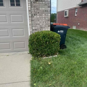 Bush Trimming by Johnny Ds Lawn Service reviewed on October 22, 2025