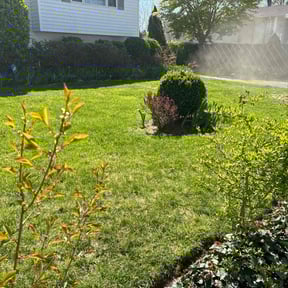 landscaping services by Exquisite Lawn & Grounds reviewed on August 15, 2025