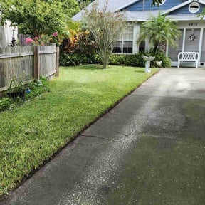 Long Grass Cleanup by Robby's Landscaping reviewed on August 17, 2025