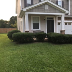 Bush Trimming by Dortch lawn care reviewed on August 15, 2025