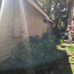 Bush Trimming by Raincrow Landscape and Mowing reviewed on November 8, 2025